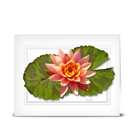 Water Lily, Peach - folded card