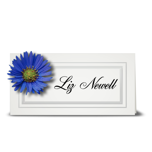 Aster, blue - place card