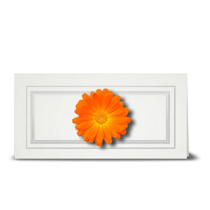Daisy, orange - gift tag