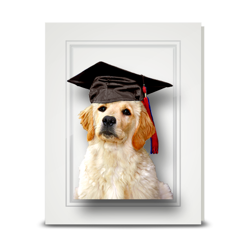 Golden Retriever Puppy, The Graduate - folded card