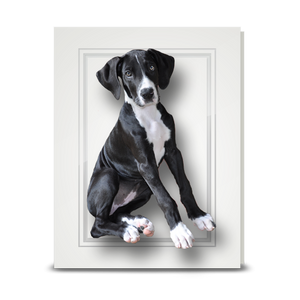 Great Dane Puppy - folded card