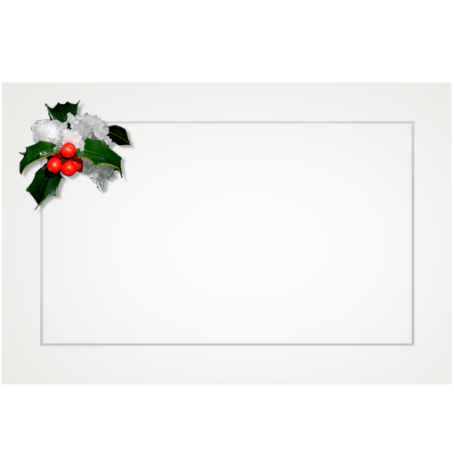 Holly, snowy - flat cards (box of 10)