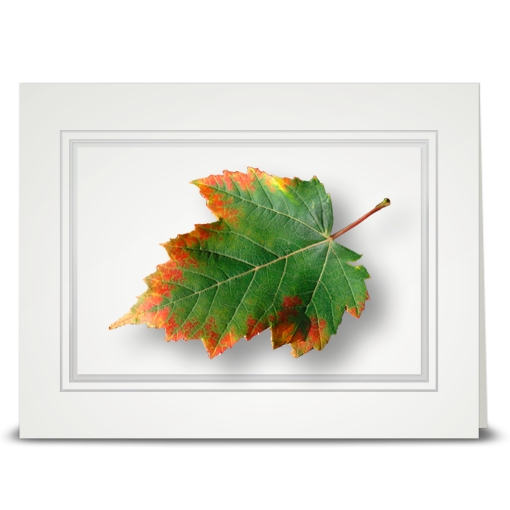Maple Leaf, Autumn Edge - folded card