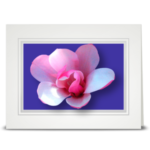 Magnolia, Pink - folded card