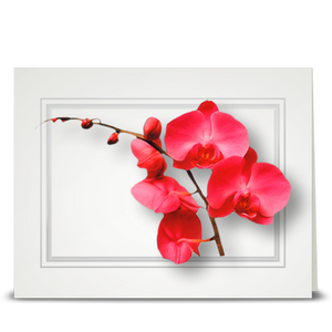Orchid, pink vining - folded card