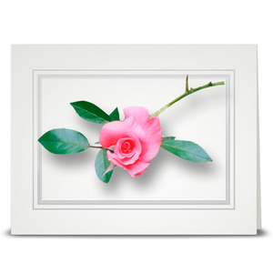 Rose, Vining Pink - folded card