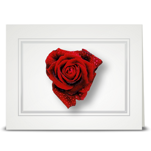 Rose, red heart - folded card
