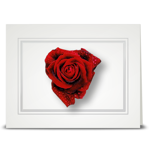 Rose, red heart - folded card