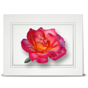 Rose, Peach Unity - folded card