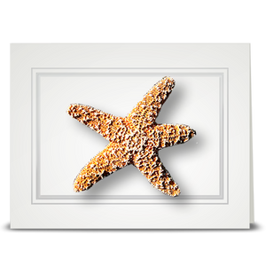 Starfish - folded card