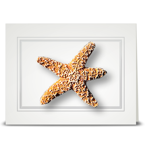 Starfish - folded card