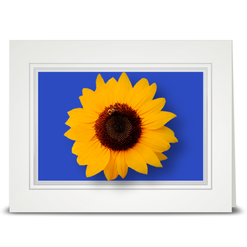 Sunflower, block isle - folded card