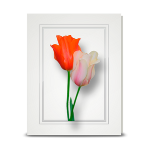 Tulips - folded card