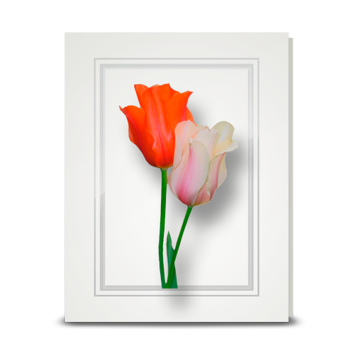 Tulips - folded card