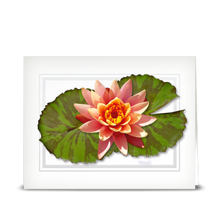 Water Lily, Peach - folded card