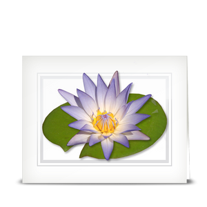 Water Lily, Purple - folded card