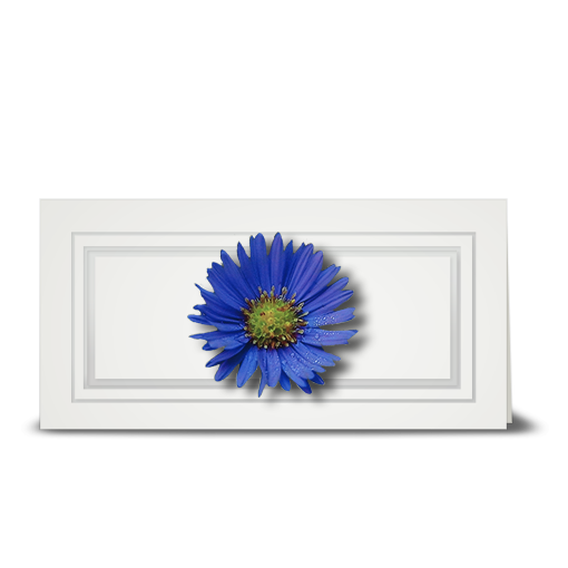 Aster, blue - gift tag