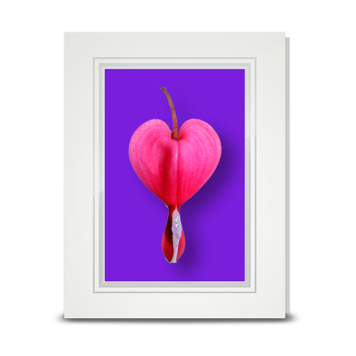 Bleeding Heart - folded card