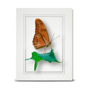Julia Butterfly - folded card