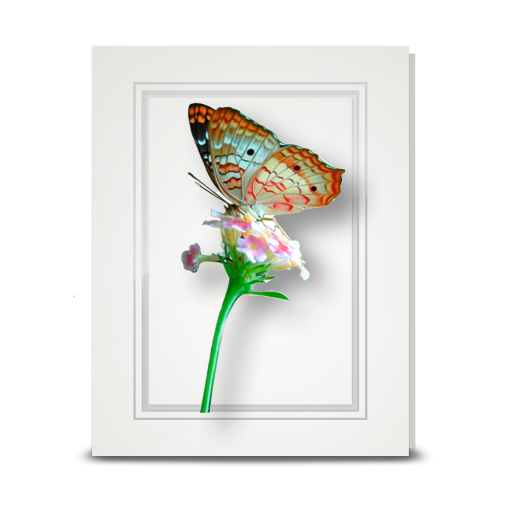 White Peacock Butterfly - folded card