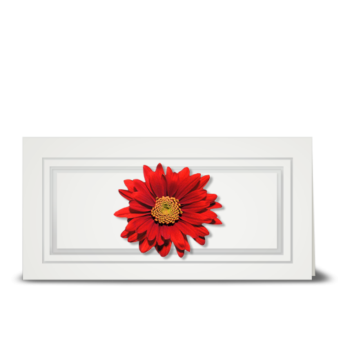 Daisy, red - gift tag
