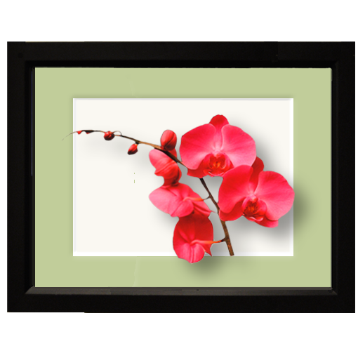 Orchid, pink - framed