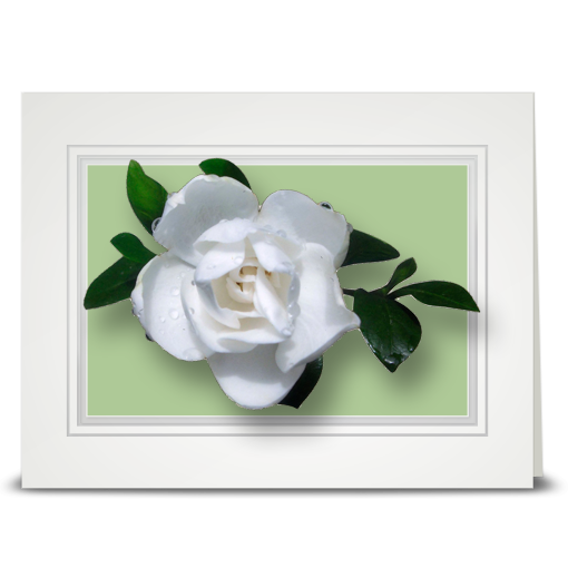 Gardenia - folded card
