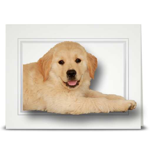 Golden Retriever Puppy - folded card