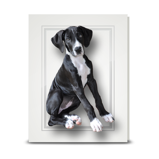Great Dane Puppy - folded card
