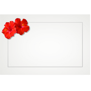 Hibiscus, double red - flat cards (box of 10)