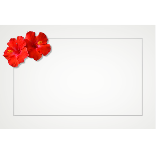 Hibiscus, double red - flat cards (box of 10)