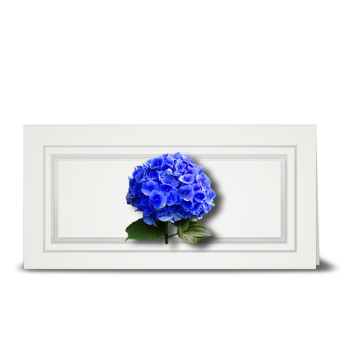 Hydrangea, blue - gift tag