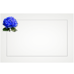 Hydrangea, blue - flat cards (box of 10)