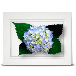 Hydrangea, light blue - folded card