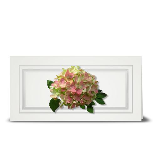 Hydrangea, pink - gift tag