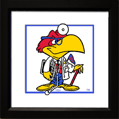 JayDoc Jayhawk - framed