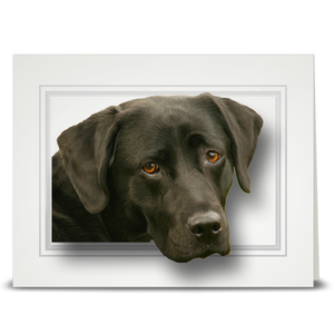 Labrador Retriever, Black - folded card