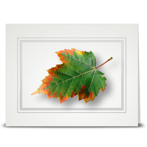 Maple Leaf, Autumn Edge - folded card