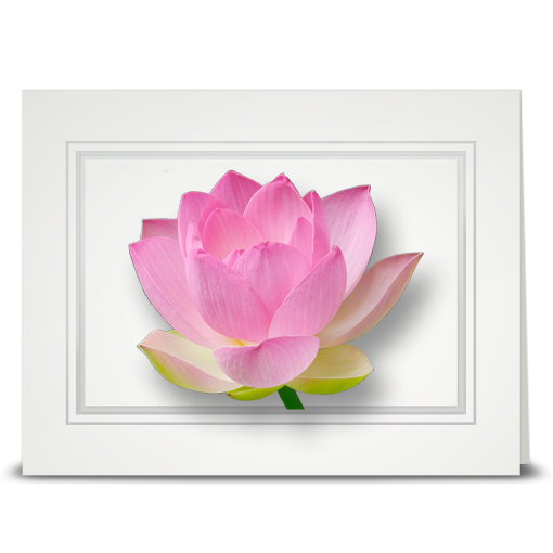 Lotus, Pink - folded card