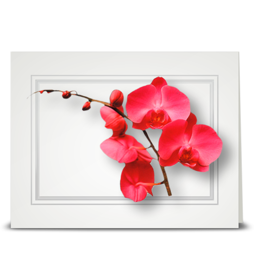 Orchid, pink vining - folded card
