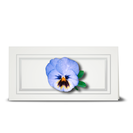 Pansy, light blue - gift tag
