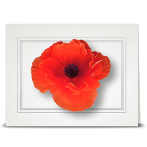 Poppy, orange - folded card