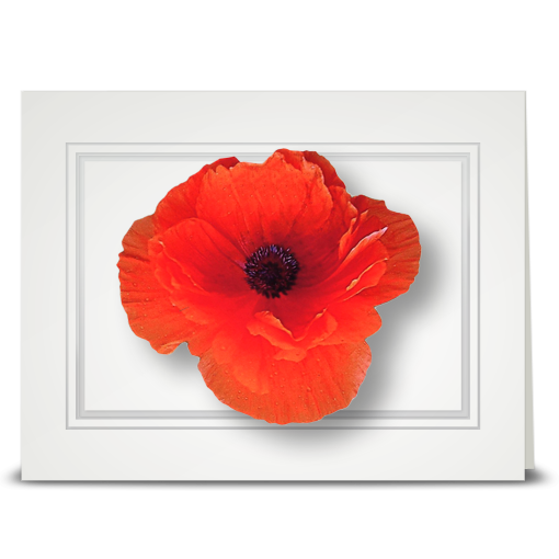 Poppy, orange - folded card
