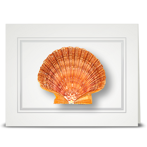 Brown Scallop - folded card