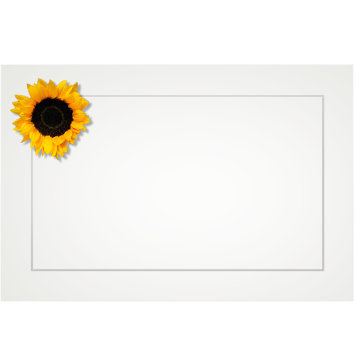 Sunflower, double petal - flat cards (box of 10)