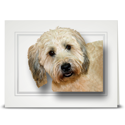Wheaten Terrier - folded card