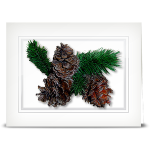 Pinecone - folded card