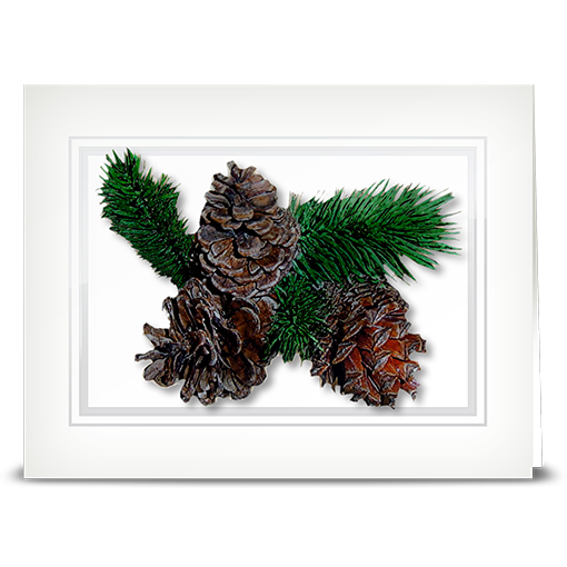 Pinecone - folded card