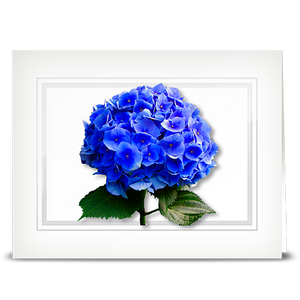 Hydrangea, blue - folded card